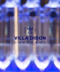 Villa Didon Carthage